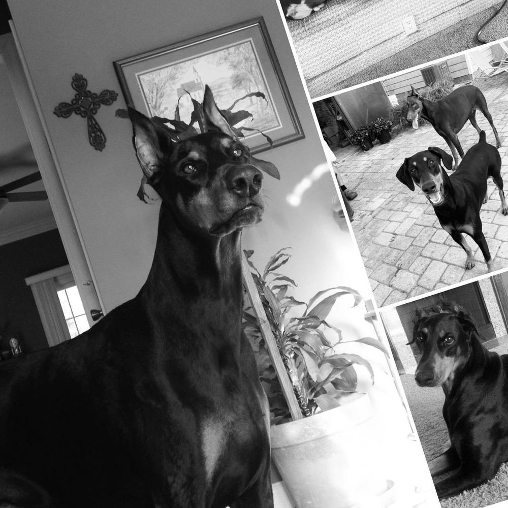 Meet your Posher, Rebecca